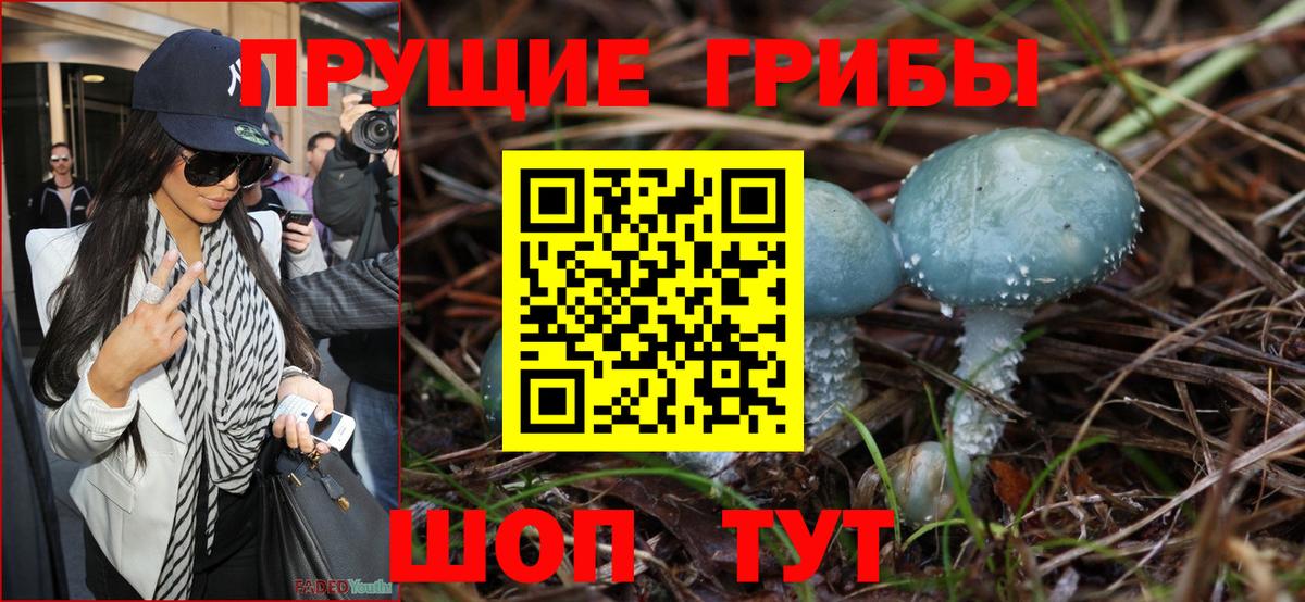 Псилоцибиновые грибы Magic Shrooms  Вход с VPN  закладки  Кудрово 